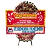 Congrats
